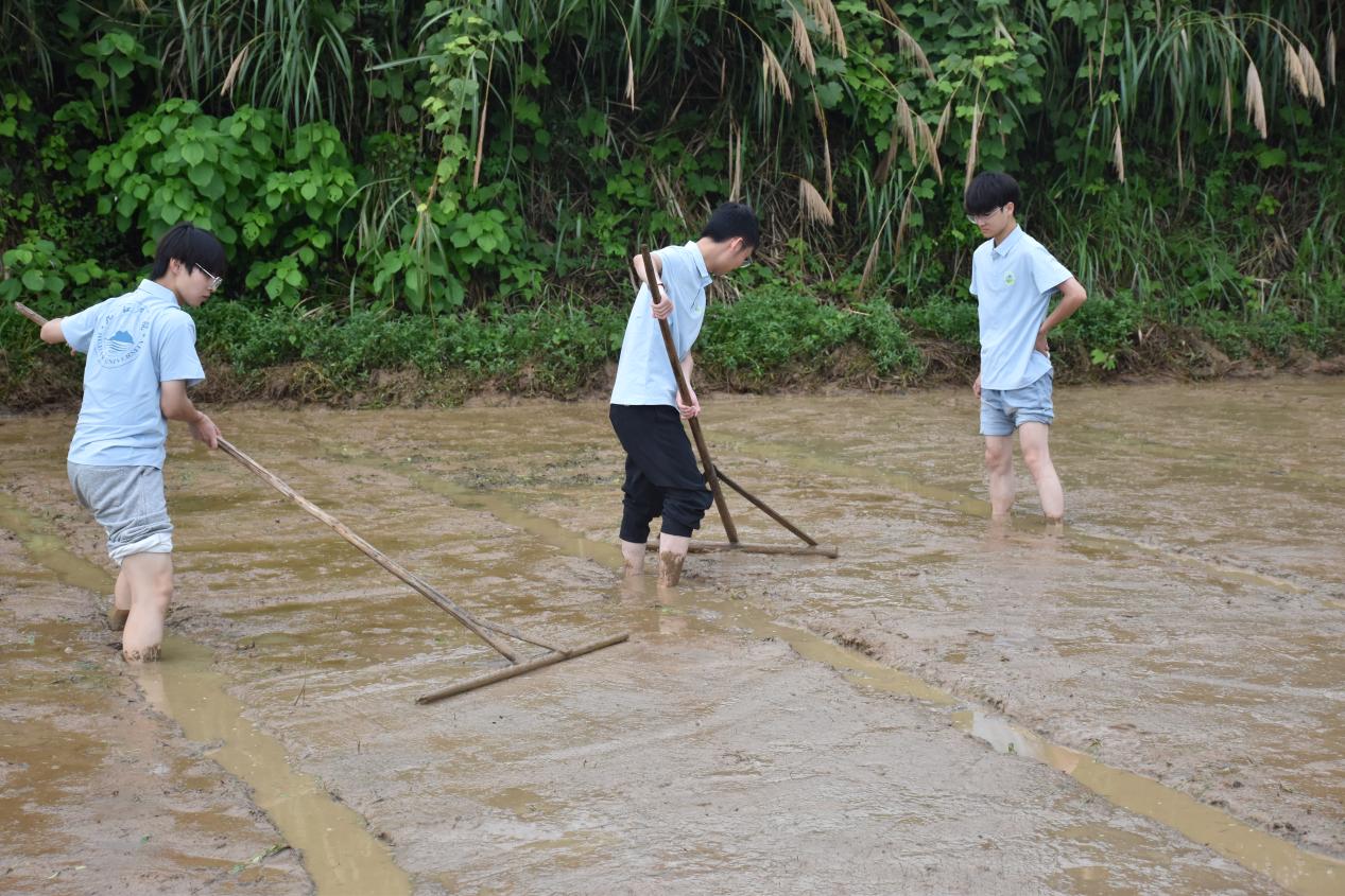 a5a478433ca09aad0edddcd6ae24b054